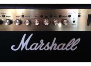 Marshall MG101FX [2009 - Current] (96125)