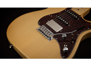 Tom Anderson HOLLOW T CLASSIC (17589)
