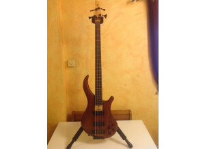 Noguera Expression (73921)