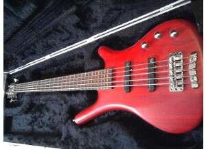 Warwick corvette bubinga red oil 5 cordes