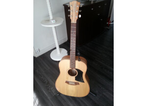 Cole Clark FL1 Spruce/Maple