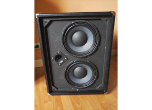 Ashdown MAG 210T Deep Cabinet (20108)