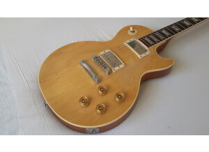 Gibson Les Paul Standard Raw Power (76925)