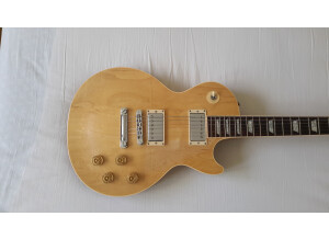 Gibson Les Paul Standard Raw Power (88139)