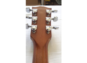 Gibson Les Paul Standard Raw Power (33216)