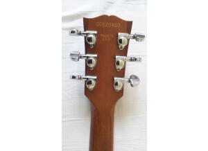 Gibson Les Paul Standard Raw Power (38247)