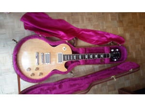 Gibson Les Paul Standard Raw Power (23305)