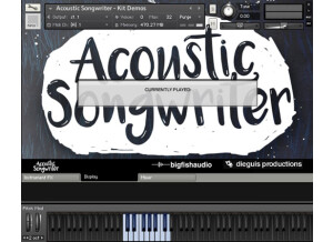 Big Fish Audio Acoustic Songwriter