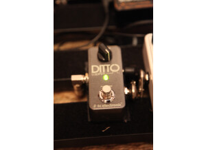 TC Electronic Ditto Looper (14908)