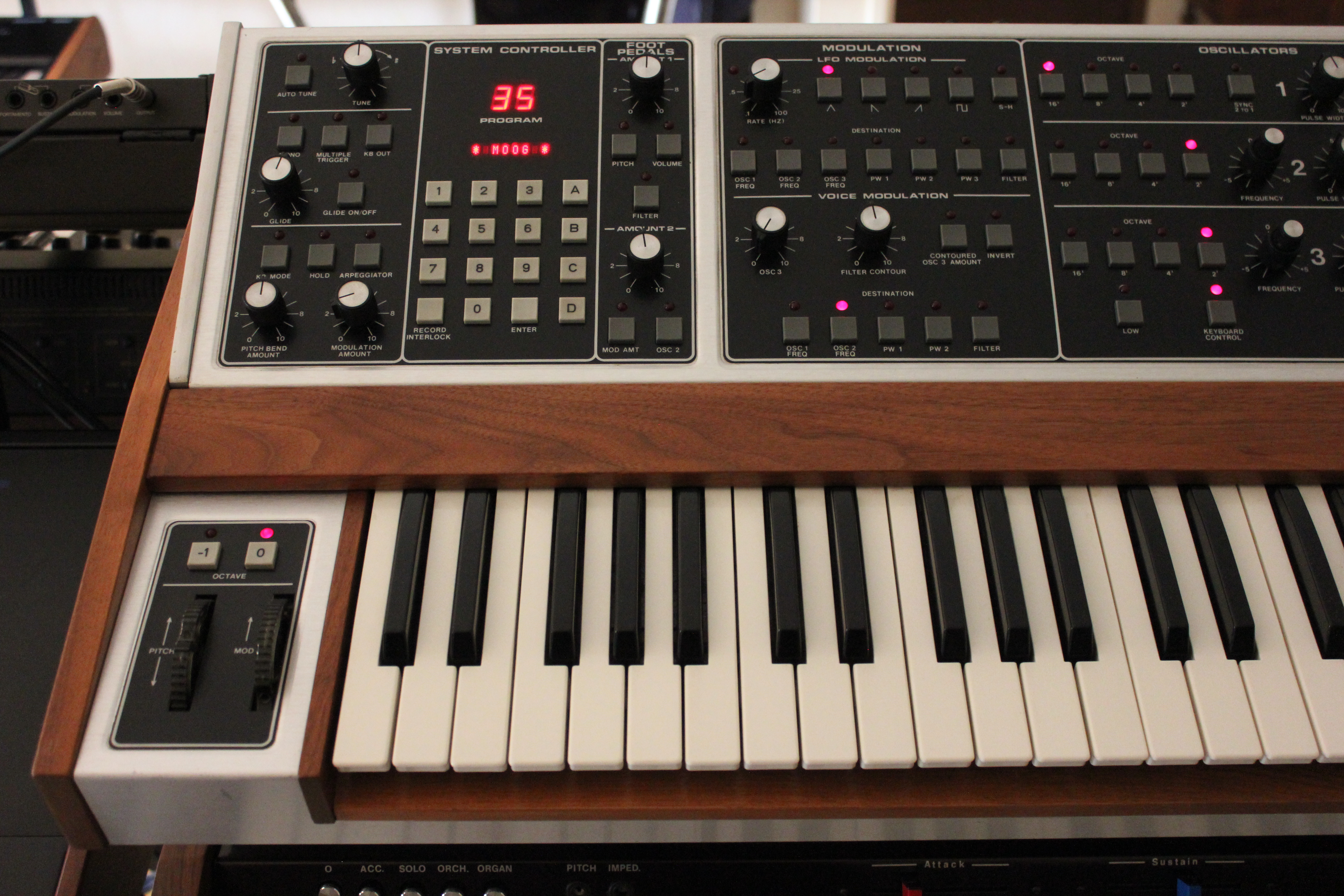 Moog Music MemoryMoog LAMM : 003.JPG