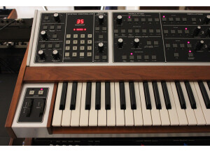 Moog Music MemoryMoog LAMM (20358)