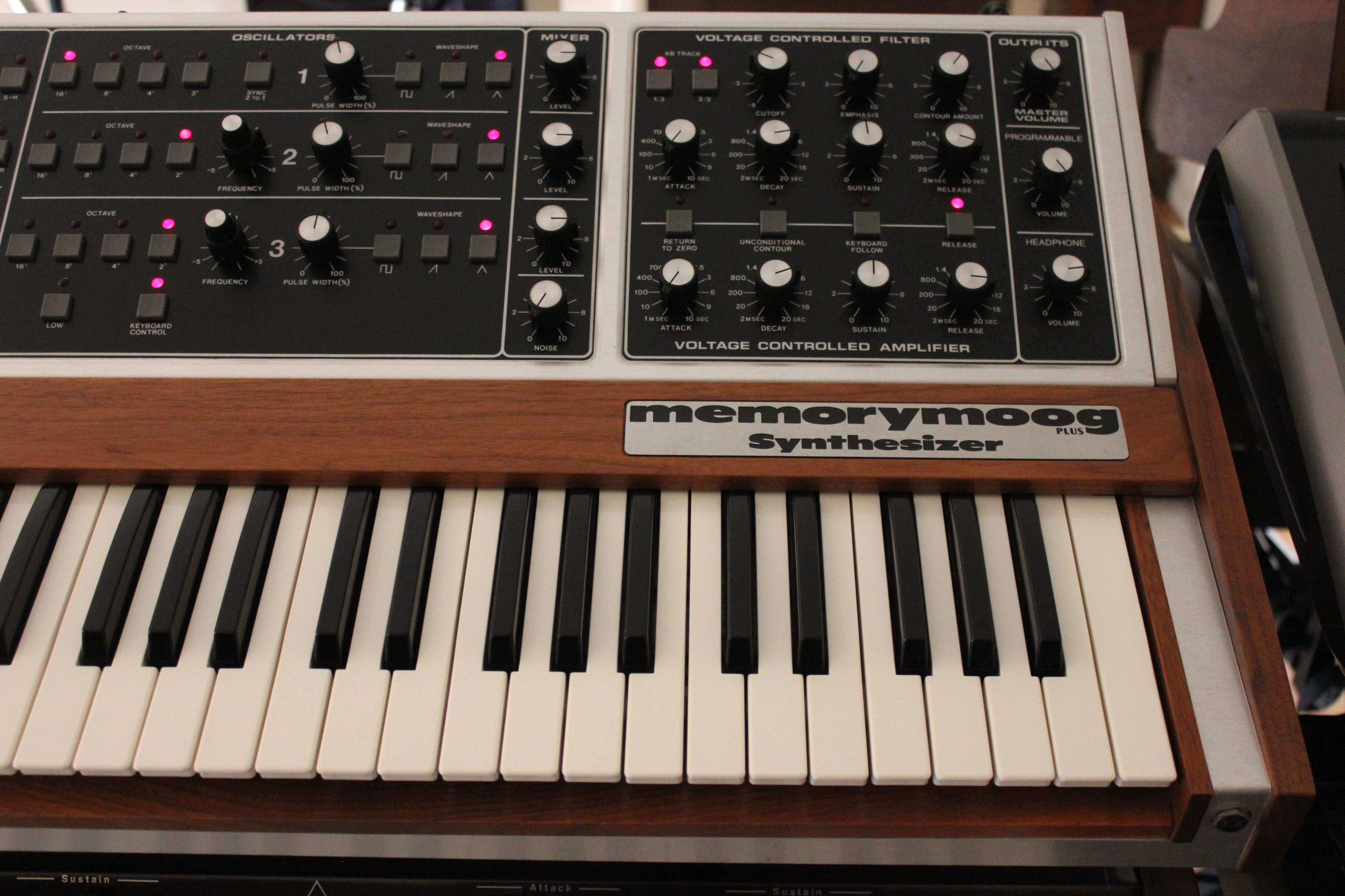 Moog Music MemoryMoog LAMM : 005.JPG