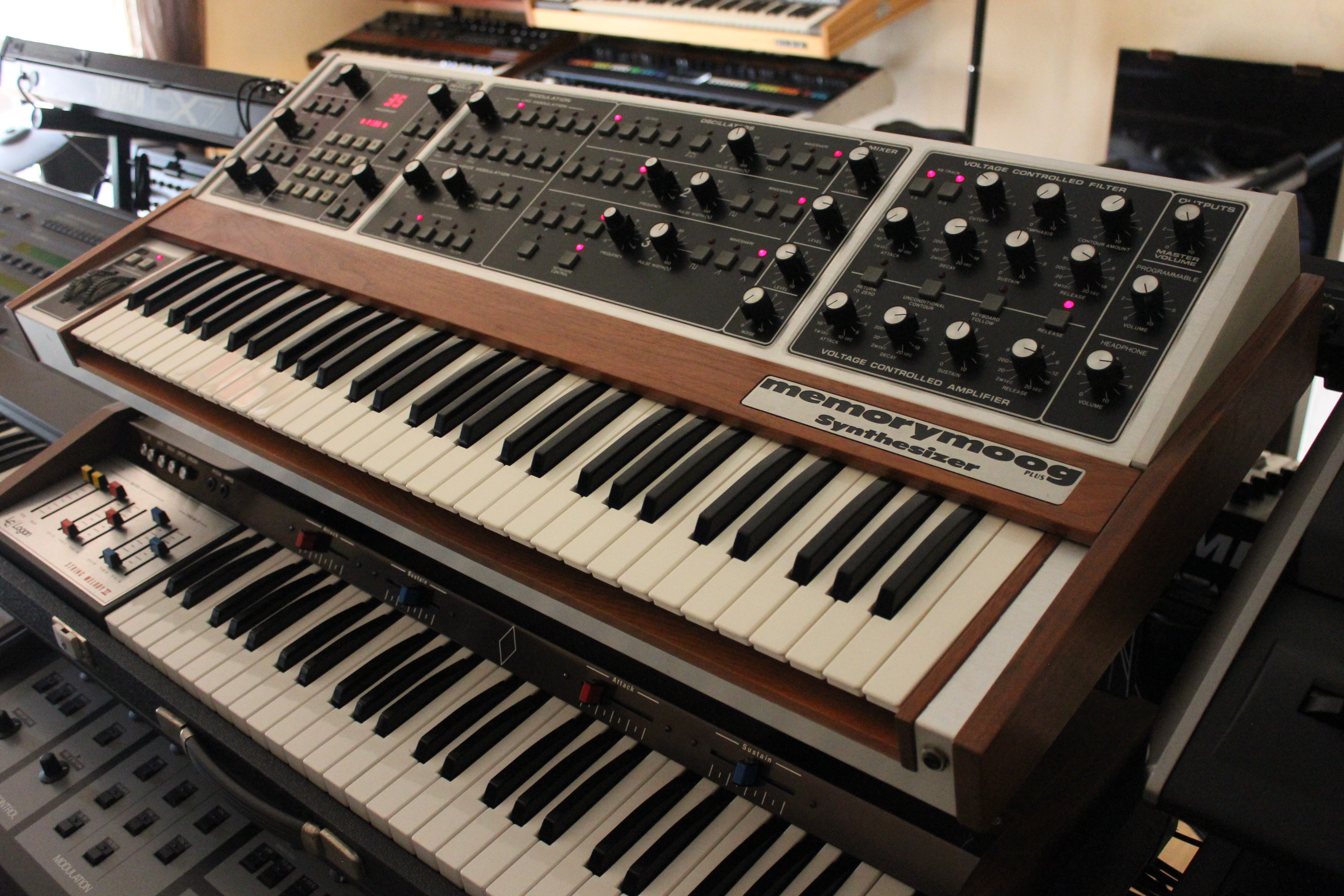 Moog Music MemoryMoog LAMM : 006.JPG