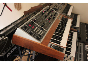 Moog Music MemoryMoog LAMM (47721)