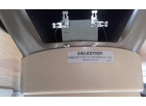 Celestion G12H-75 Creamback (15192)