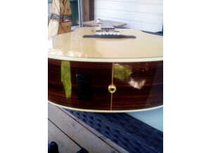 Seagull Artist Studio CW QII (80931)