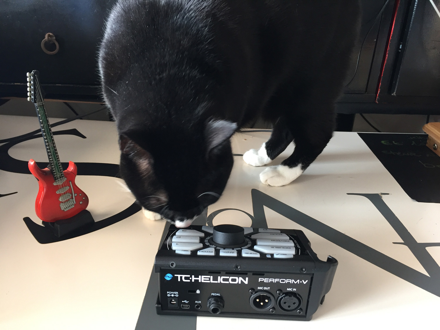 TC-Helicon Perform-V : Back and Cat large