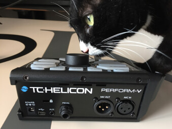 TC-Helicon Perform-V : Back and Cat TC-Helicon Perform-V : Back and Cat