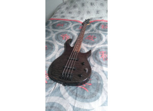 Peavey Millennium 4 BXP - Trans Black (26730)