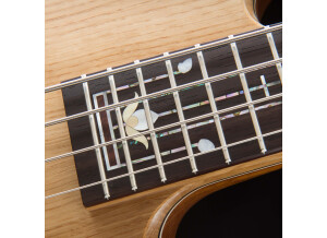 Fodera Guitars Monarch 4 Deluxe - "Arts and Crafts" (37908)