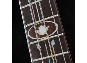 Fodera Guitars Monarch 4 Deluxe - "Arts and Crafts" (68490)