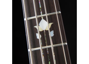 Fodera Guitars Monarch 4 Deluxe - "Arts and Crafts" (7389)