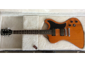 Gibson RD Standard Exclusive - Trans Amber (67040)