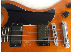 Gibson RD Standard Exclusive - Trans Amber (9030)