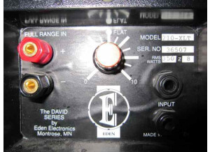 Eden Electronics D210 XLT