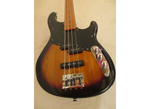 Peavey zodiac 2
