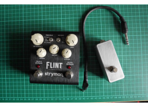 Strymon Flint (90316)