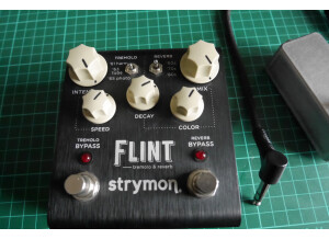 Strymon Flint (67157)