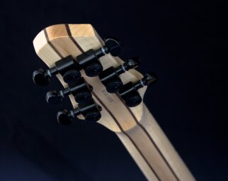 Jericho Guitars Edge 6 : Back of Head 5 Jericho Guitars Edge 6 : Back of Head 5