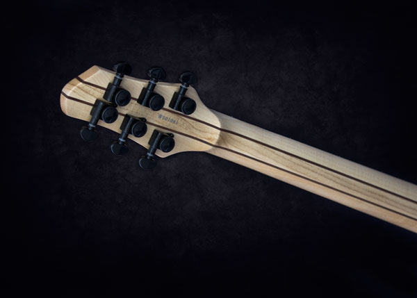 Jericho Guitars Edge 6 : ETBNTBackofHead