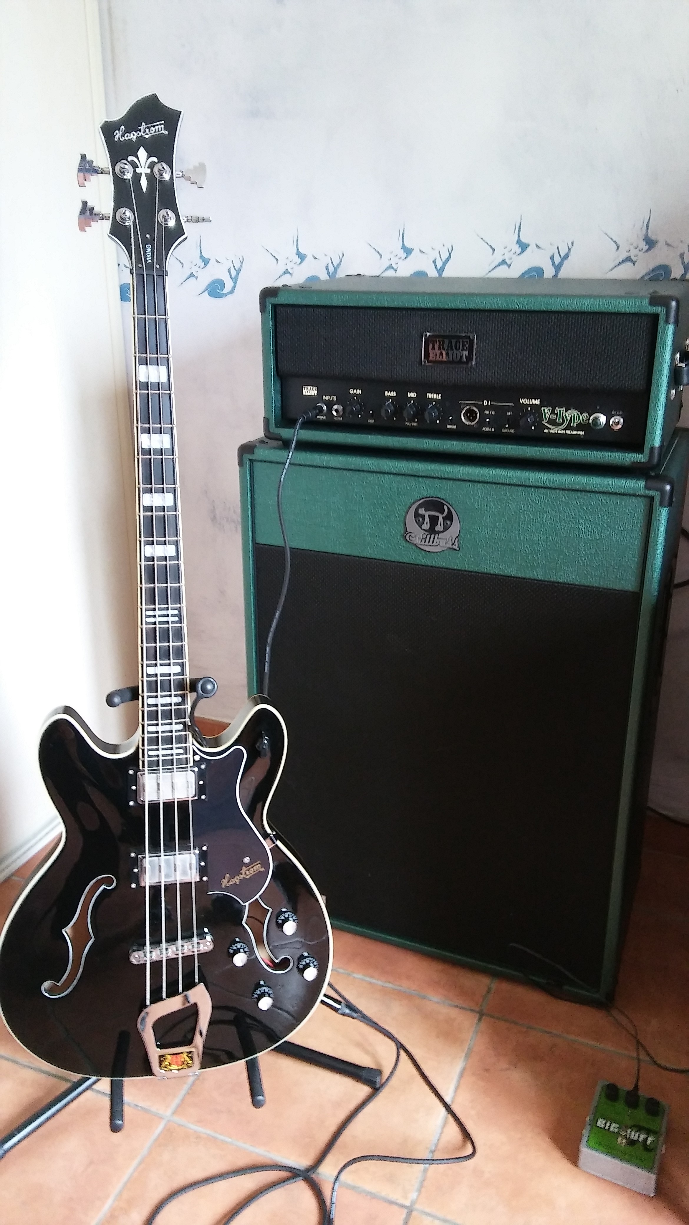 Chillamp 2x12 Bass Cabinet