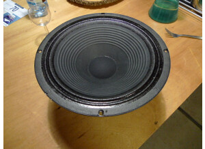 Ampeg J-20