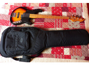 Peavey zodiac 4