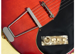 Hofner Guitars Colorama 1960-1961 (96255)