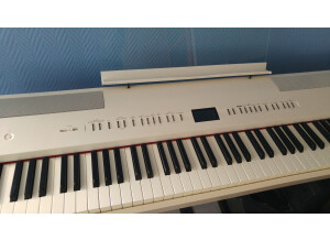Roland FP-80 (116)