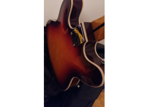Fender Special Edition Starcaster Guitar (76639)
