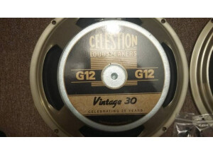 Celestion Vintage 30 (8 Ohms) (11455)