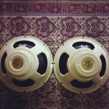 Celestion Cream