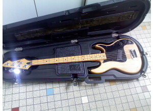 Peavey Fury (92642)