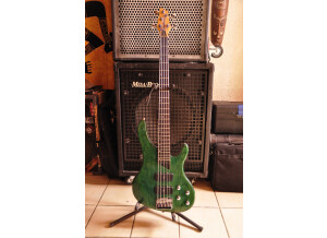 Washburn XB500 (6282)