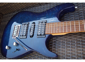 Godin Freeway 1 (35)