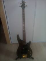 Storm PGB700