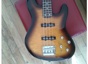 Fender Deluxe Jazz Bass 24 (96307)