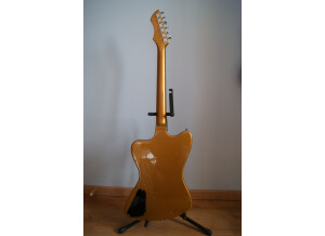 Eastwood Guitars Stormbird (71564)