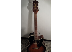 Takamine EG460SC (29809)