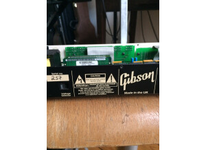 Gibson Echoplex (8398)